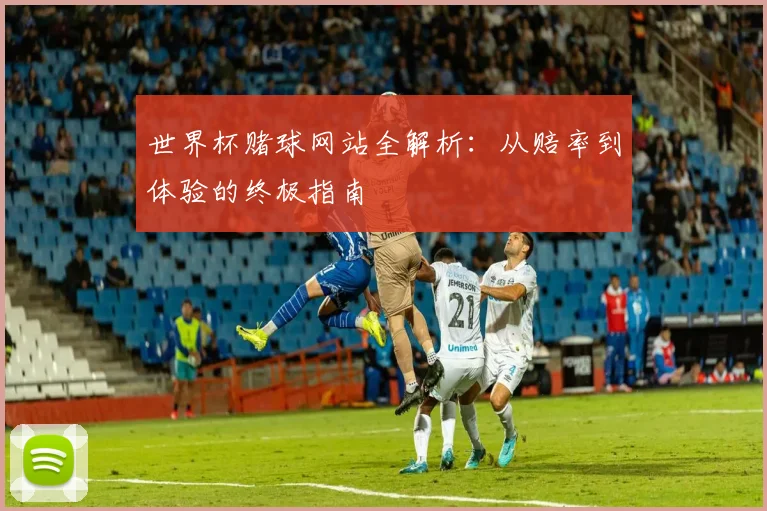 世界杯赌球网站全解析:从赔率到体验的终极指南